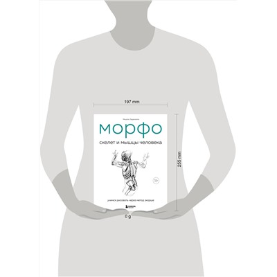 Эксмо Мишель Лауричелла "МОРФО. Скелет и мышцы человека. Анатомия для художников"