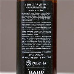 Новогодний подарочный набор косметики «Год сулит успех», гель для душа 100 мл и мочалка для тела, Чистое счастье