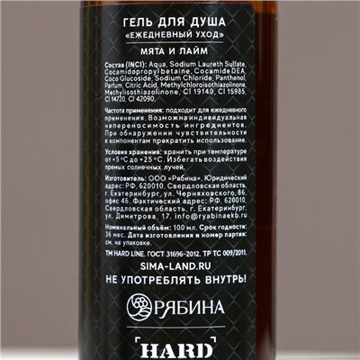 Новогодний подарочный набор косметики «Год сулит успех», гель для душа 100 мл и мочалка для тела, Чистое счастье