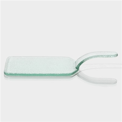 Блюдо сервировочное Magistro «Авис», 27×15×3.5 см, стекло, прозрачное