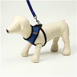 Комплект амуниции с мягкой шлейкой и светоотражающей нашивкой, M, ОШ 26, ОГ 36-44, синий