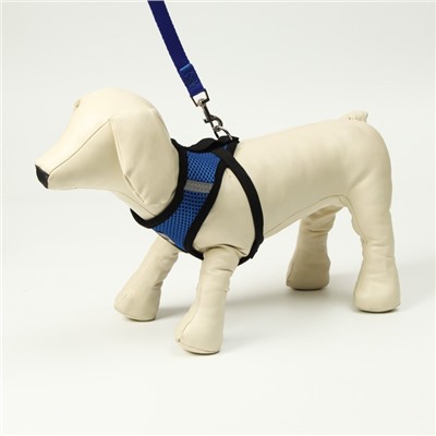 Комплект амуниции с мягкой шлейкой и светоотражающей нашивкой, M, ОШ 26, ОГ 36-44, синий