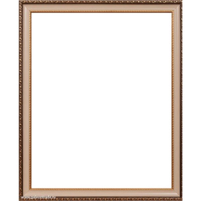 Рамка для картины на холсте 40х50 / 10036-17 /