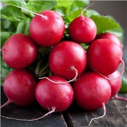 5071D Редис Кармелита 1 г
