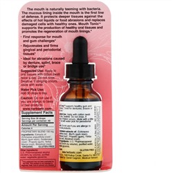 Herbs Etc., Mouth Tonic, 1 fl oz (30 ml)