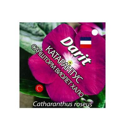 Семена цветов Катарантус Саншторм "Виолет Хало", О, 10 шт