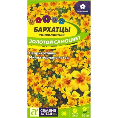 Бархатцы Золотой Самоцвет Сем.Алтая