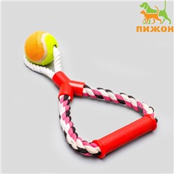 Игрушка тренировочная канатная «Качель с мячом», до 160 г, до 27 см, микс цветов