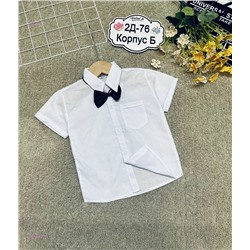 рубашка 2053008-1
