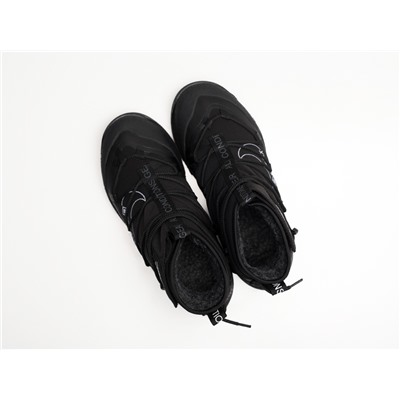 Зимние Кроссовки Nike ACG Air Terra Antarktik