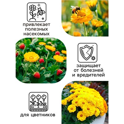 Семена  Календула Золотой принц, 0,3 г