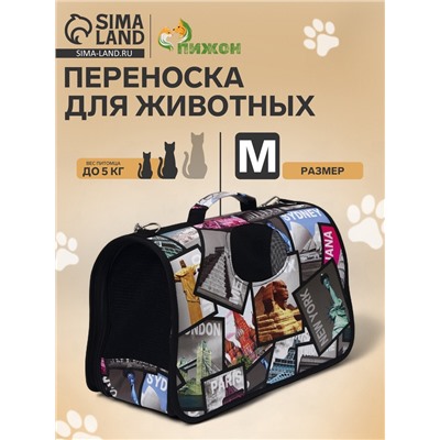 Сумка - переноска для животных «Путешественник», размер M, 40×21×27 см
