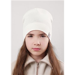 CLEVER Шапка