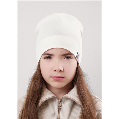 CLEVER Шапка