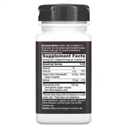 Nature's Way, Chlorofresh, концентрированный хлорофилл, 90 мягких таблеток