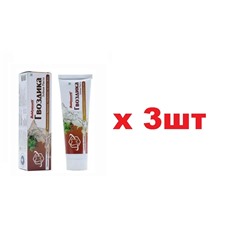 Baidyanath Аюрведическая  зубная паста 100мл Гвоздика 3шт