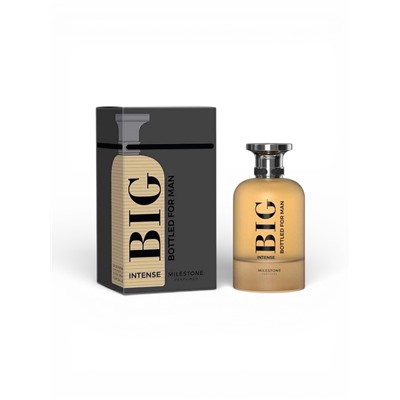 Парфюмерная вода мужская BIG BOTTLED FOR MAN INTENSE, 100 мл (мот HUGO BOSS Boss The Scent)