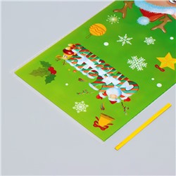 Пакет подарочный БОПП подарочный, «МИКС новогодний», 13×27.5 см