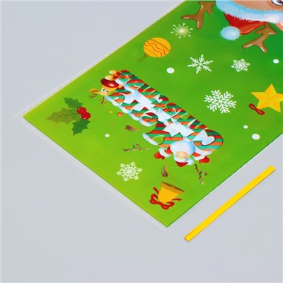 Пакет подарочный БОПП подарочный, «МИКС новогодний», 13×27.5 см