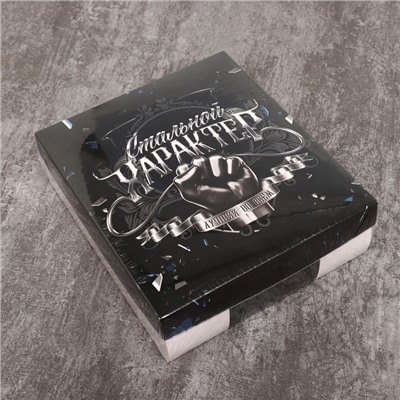 Набор подарочный «Этель. Стальной характер», полотенце, щётка, расчёска