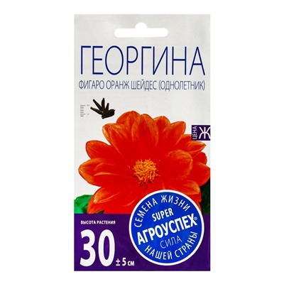 Семена цветов Георгина Фигаро Оранж Шейдес Агроуспех 7шт (400)