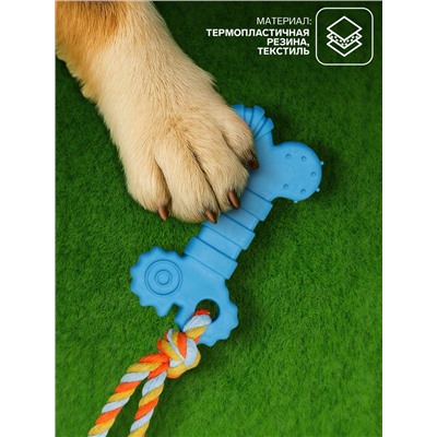 Игрушка жевательная с канатом «Кость с хвостом», синяя