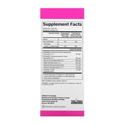 Natural Factors, Patented Echinamide Active Support, Honey Lemon Syrup, 5 fl oz (150 ml)