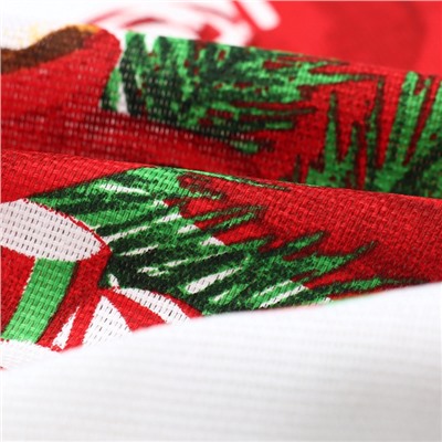 Набор кухонных полотенец Доляна «Зимние радости» 35×60 см-2 шт., 100% хлопок