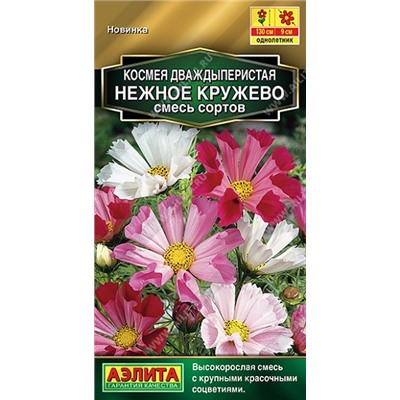 Космея Нежное кружево (Код: 93149)