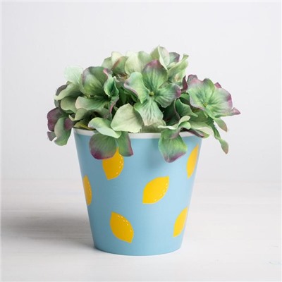 Набор кашпо для цветов 3 в 1 «Фрукты», 0.8 л, 11×12 см