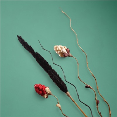 Сухоцвет «Пати», 180 см, чёрный