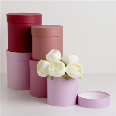 Набор круглых подарочных коробок 5 в 1 «Кофе с молоком», 20×20 ‒ 14×14 см