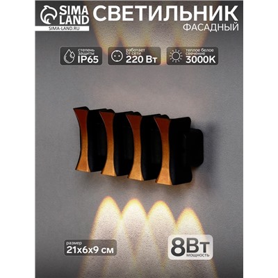 Светильник фасадный «Элегант», 8 Вт, 3000К, 4 луча, IP65, 220 В, пластиковый корпус, чёрный, свечение тёплое белое