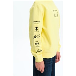 Свитшот PELICAN, 1188929