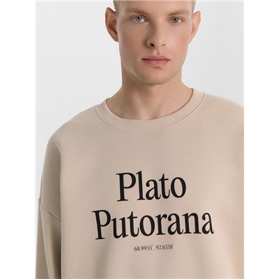 СВИТШОТ МУЖСКОЙ 121866/1