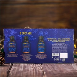 Подарочный набор безалкогольных бальзамов, новогодний, 3 шт. 110 мл «Здоровый сон»