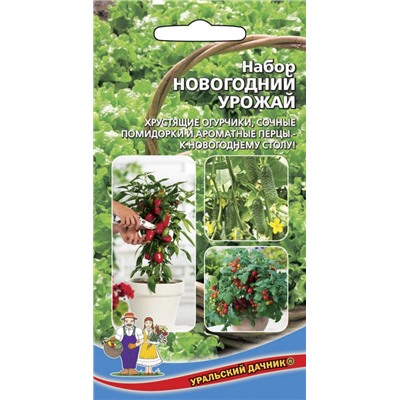 Набор Новогодний Урожай Ур.Дачник
