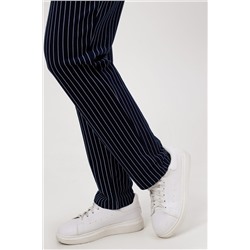 Брюки Силуэт полоска НАТАЛИ, 1067646