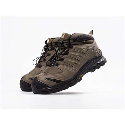Зимние Кроссовки Salomon XA PRO 3D Mid