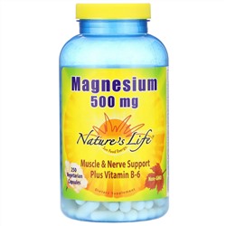 Nature's Life, магний, 500 мг, 250 вегетарианских капсул
