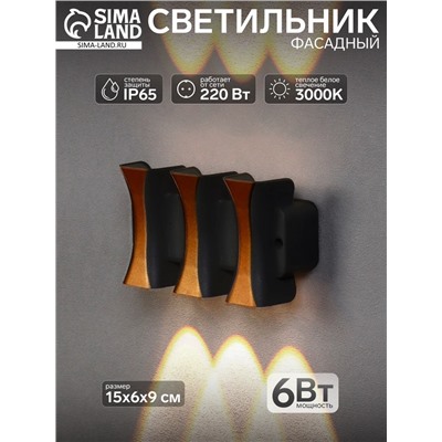 Светильник фасадный «Элегант», 6 Вт, 3000К, 3 луча, IP65, 220 В, пластиковый корпус, чёрный, свечение тёплое белое