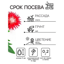 Семена   Астра Ажурная россыпь, смесь окрасок , 0,2г