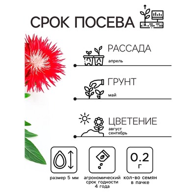 Семена   Астра Ажурная россыпь, смесь окрасок , 0,2г