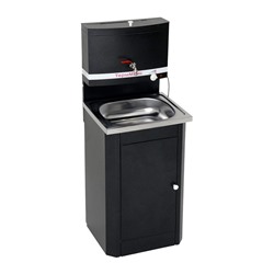 Умывальник «ТермМикс», с ЭВН, нержавеющая мойка, 1250 Вт, 17 л, цвет серебро