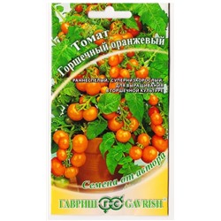 Томат Горшечный оранжевый (Код: 77686)