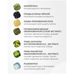 Сухой концентрат напитка «Лимфовитал»