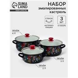 Набор кастрюль эмалированных «Лесная ягода-1-Экстра», 3 предмета: 2 л, 3 л, 4 л, чёрный