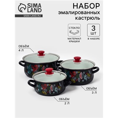 Набор кастрюль эмалированных «Лесная ягода-1-Экстра», 3 предмета: 2 л, 3 л, 4 л, чёрный