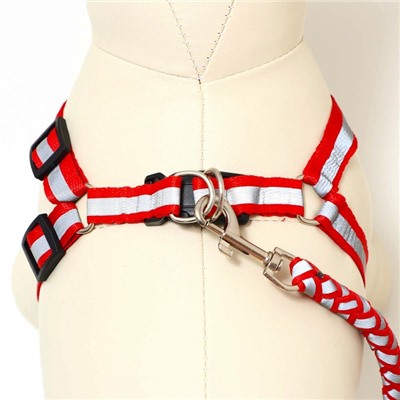 Шлейка с поводком «Плетенка», ОГ 32-48×1.5 с, поводок 115×1 см, флуоресцентная, красная