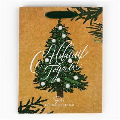 Пакет подарочный новогодний крафтовый «Winter», MS 18×23×10 см